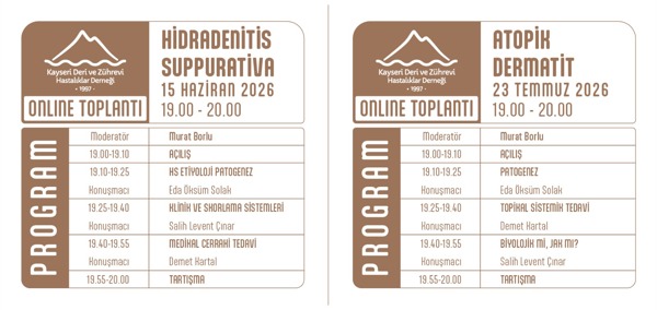 Online Toplantı